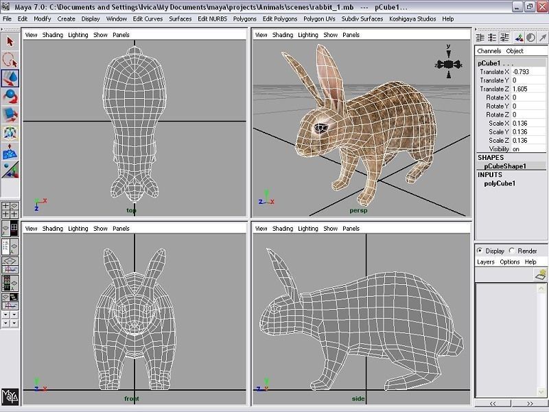 rabbit bunny Low-poly 3D model_5