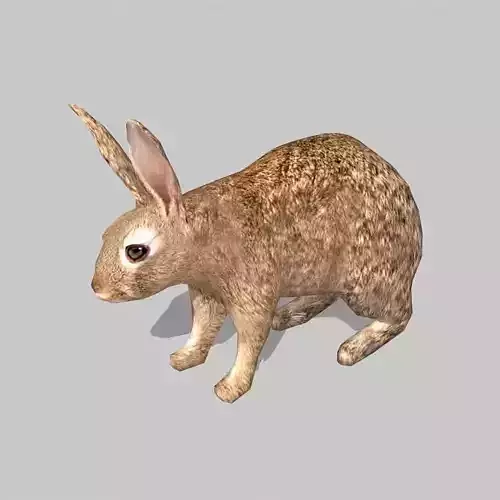 rabbit bunny Low-poly 3D model