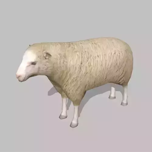 sheep Low-poly 3D model