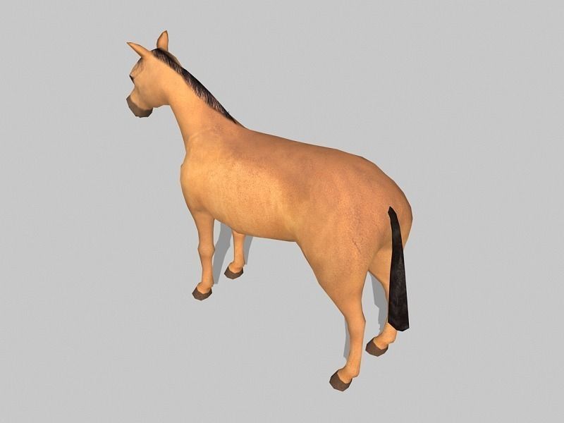 horse - Low-poly 3D model_2