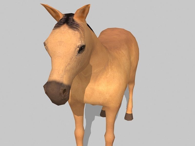 horse - Low-poly 3D model_3