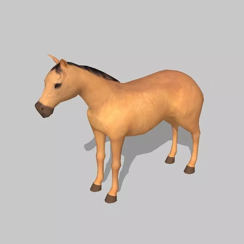 horse - Low-poly 3D model_0
