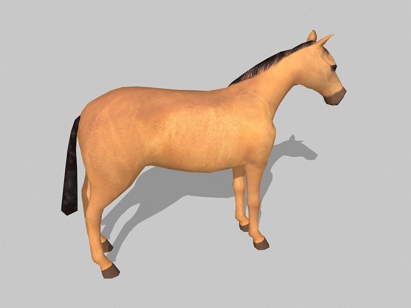 horse - Low-poly 3D model_1
