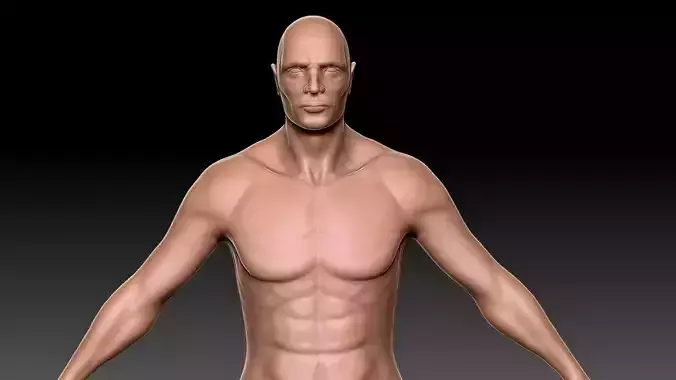 Male Human Body Zbrush 3D model lowpoly and highpoly Low-poly 3D model