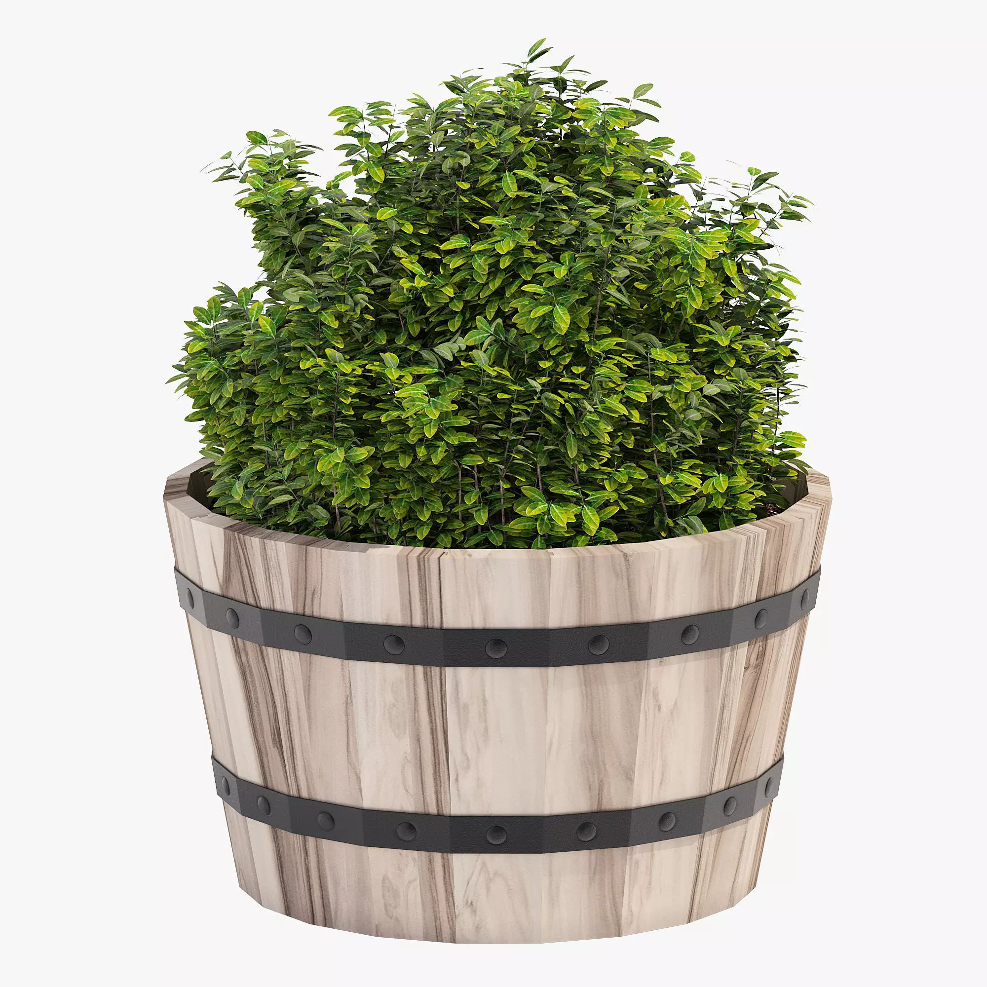 Hardwood Round Planter 46 3D model