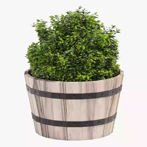 Hardwood Round Planter 46