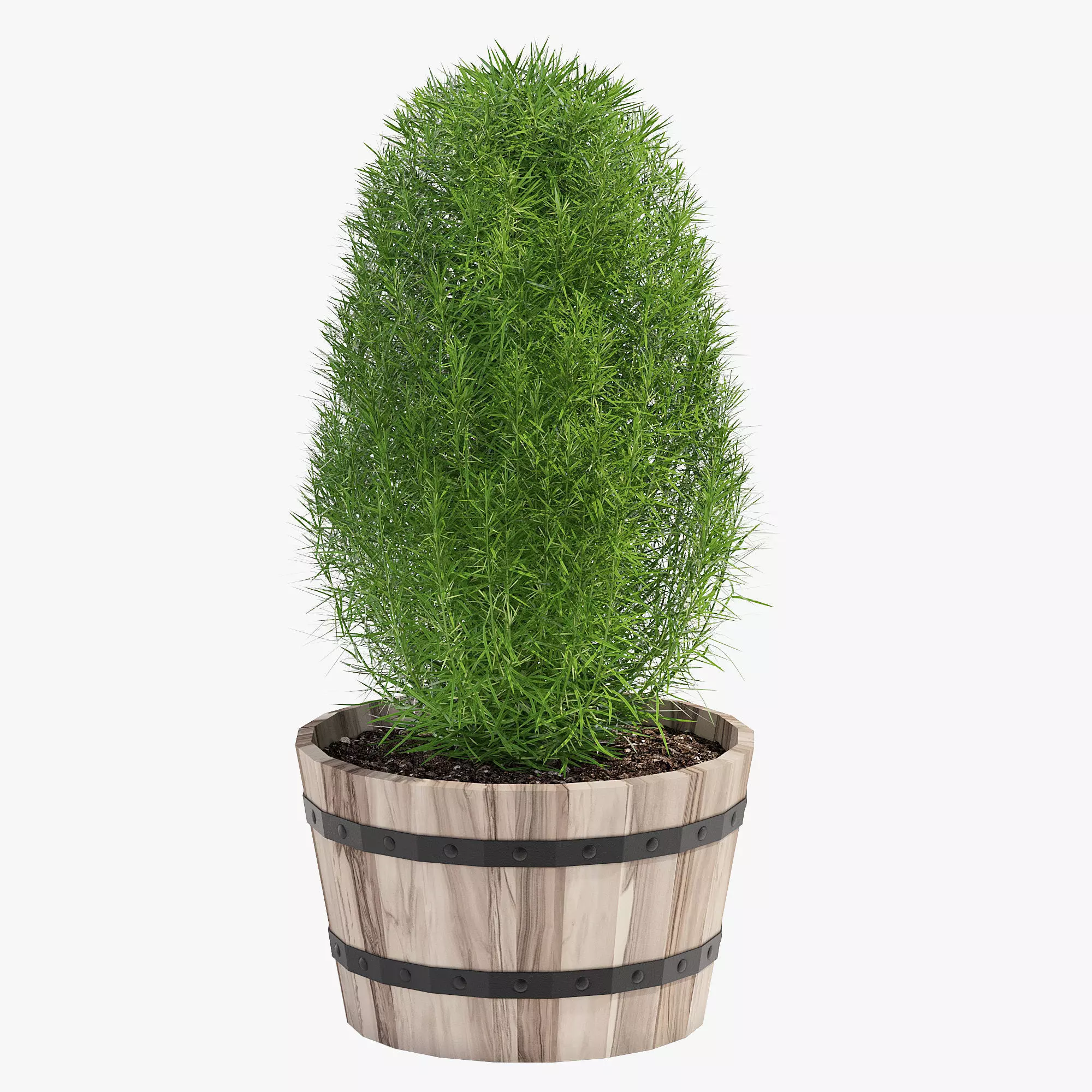 Hardwood Round Planter 33 3D model