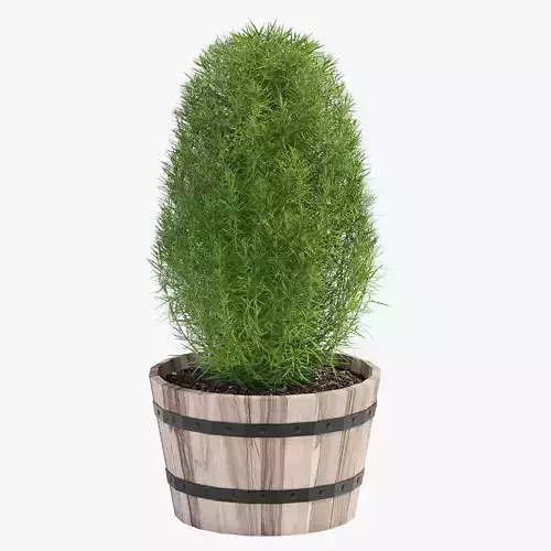 Hardwood Round Planter 33