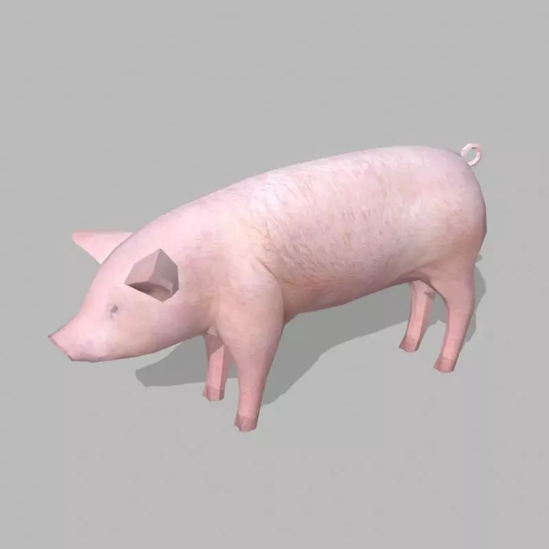 farm pig Low-poly 3D model