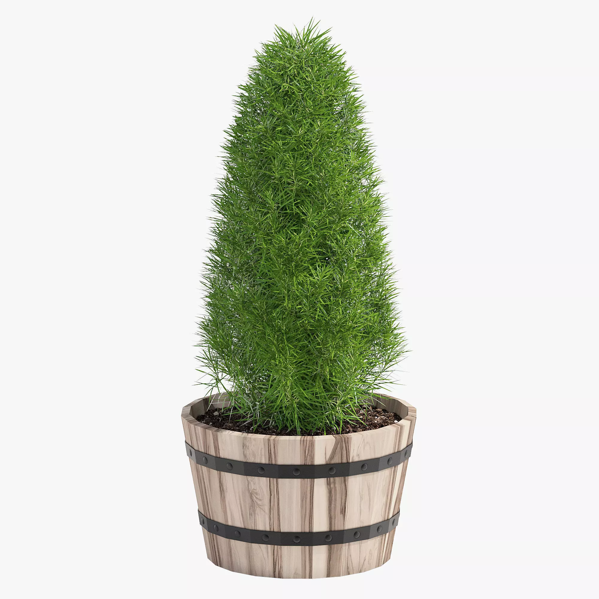 Acacia Hardwood Round Planter 33 3D model