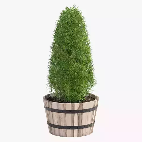 Acacia Hardwood Round Planter 33