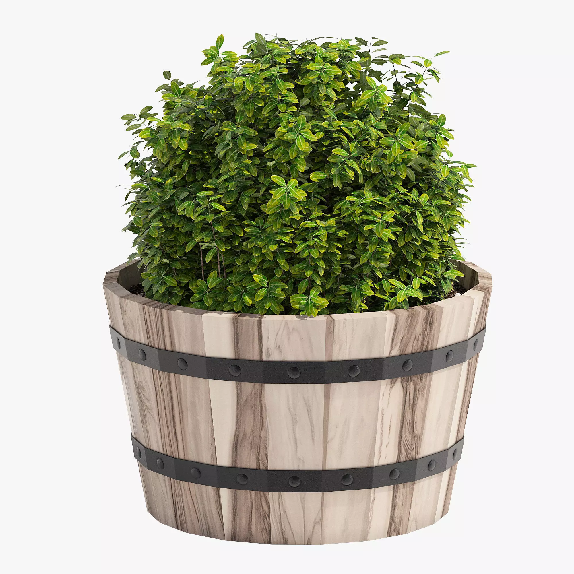Hardwood Round Planter 461 3D model