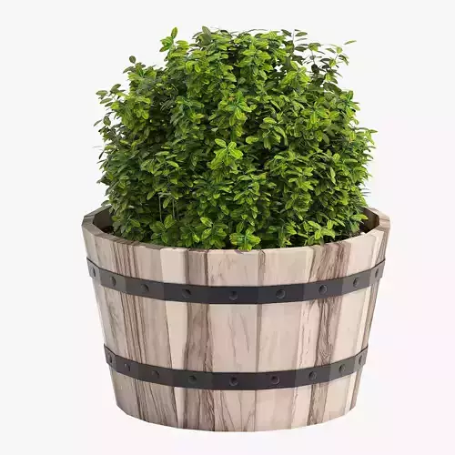 Hardwood Round Planter 461