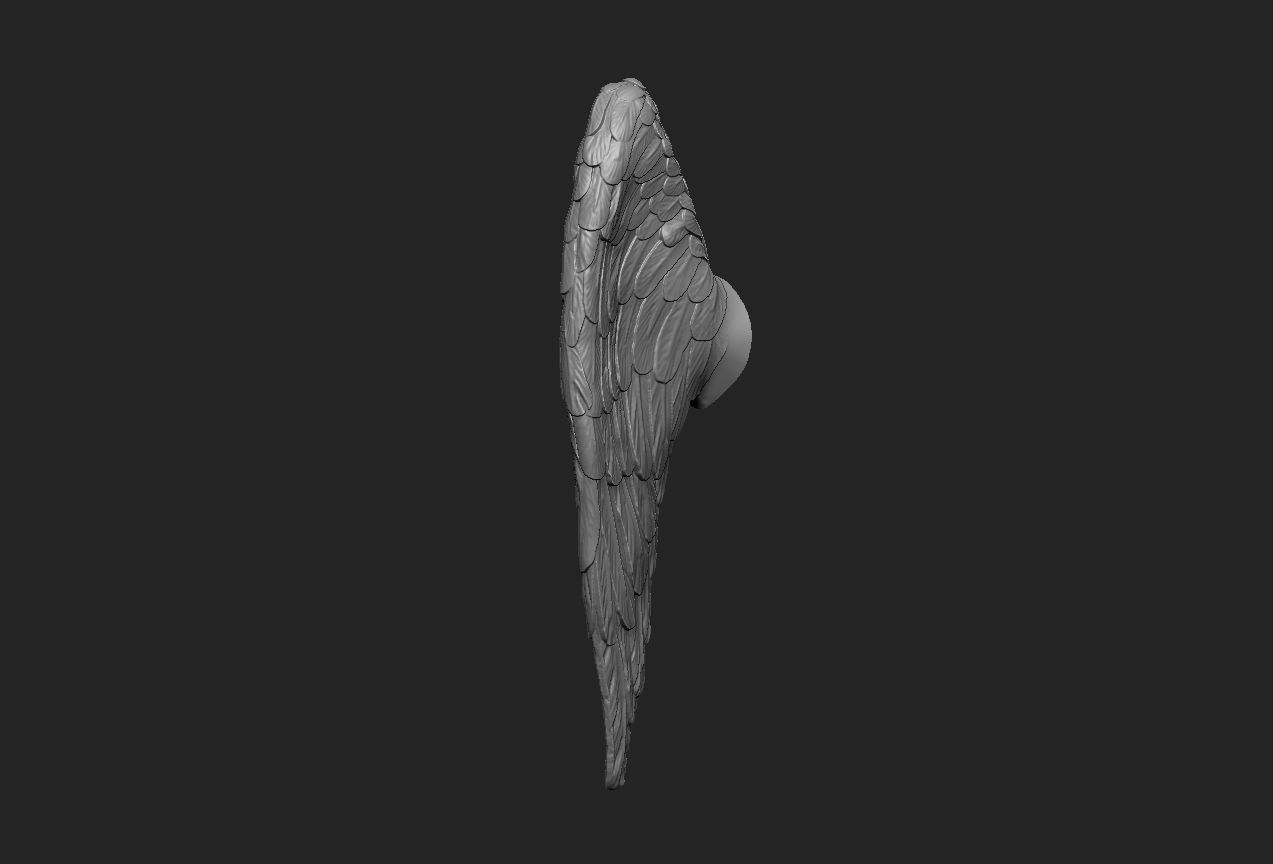 Little angel wings 3D print model_5