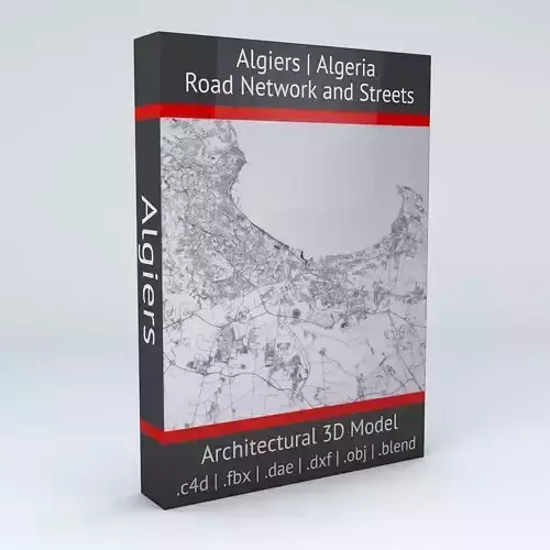 Algiers Road Network and Streets 3D model