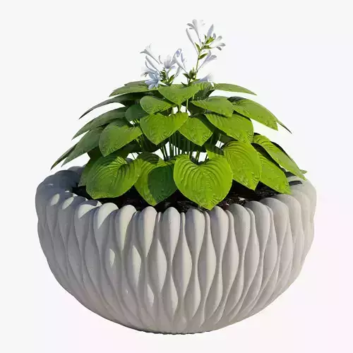 FLUO 36X18 3D model