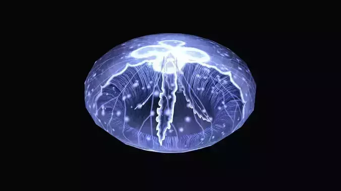 Jellyfish Moon Light Low-poly 3D model