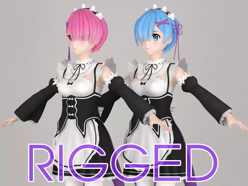 T pose rigged model of Ram and Rem anime girls 3D model_0