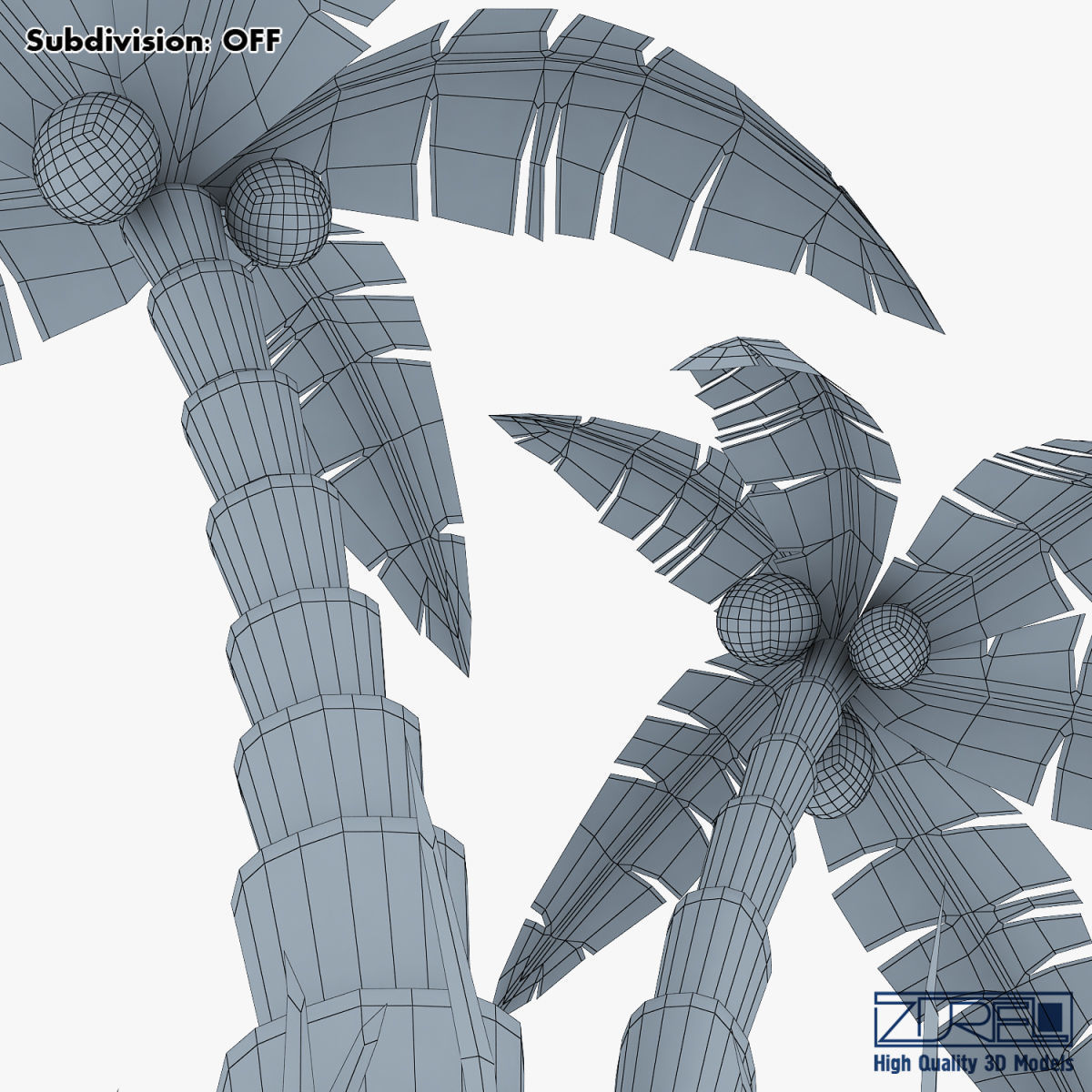 Palm tree v 5 3D model_22
