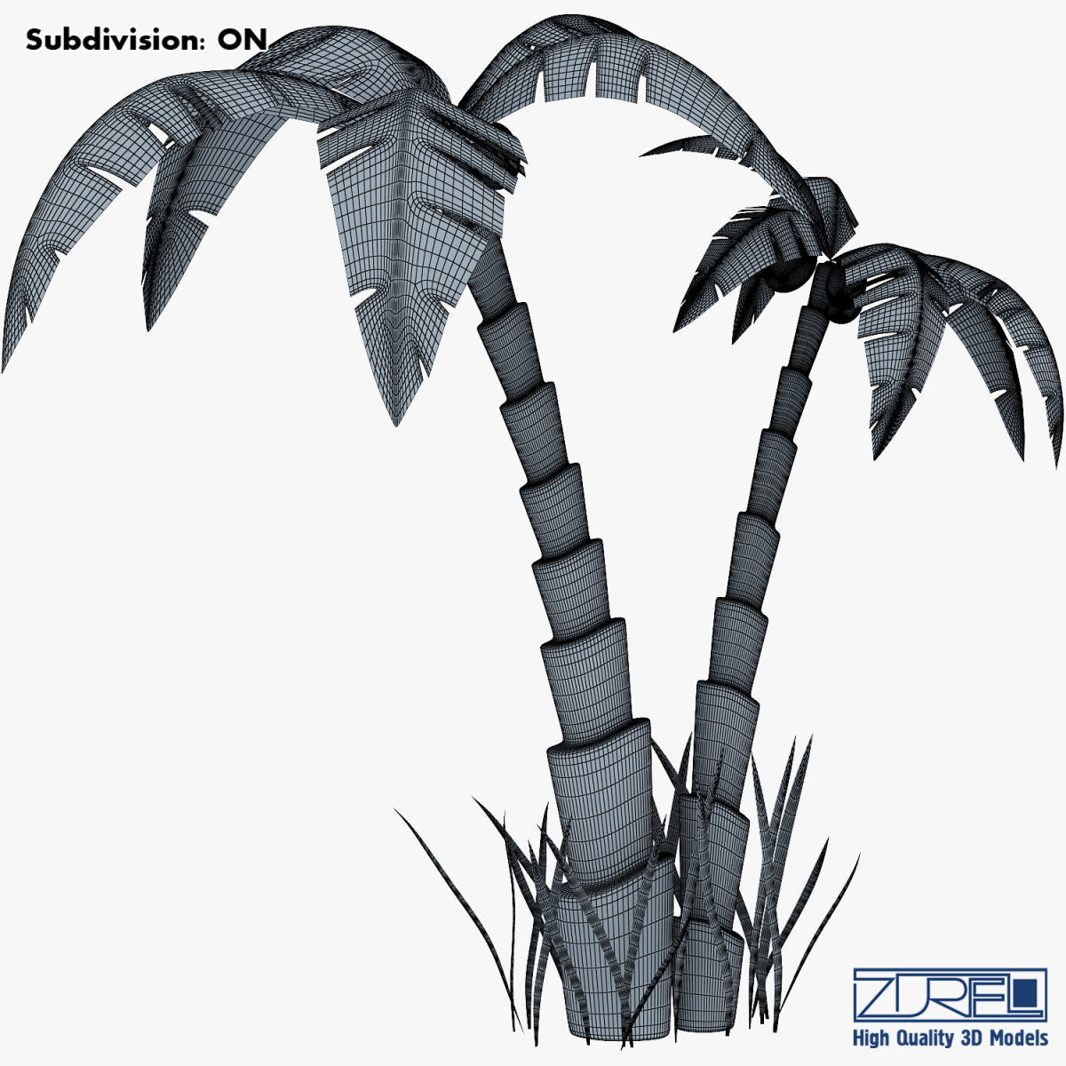 Palm tree v 5 3D model_13