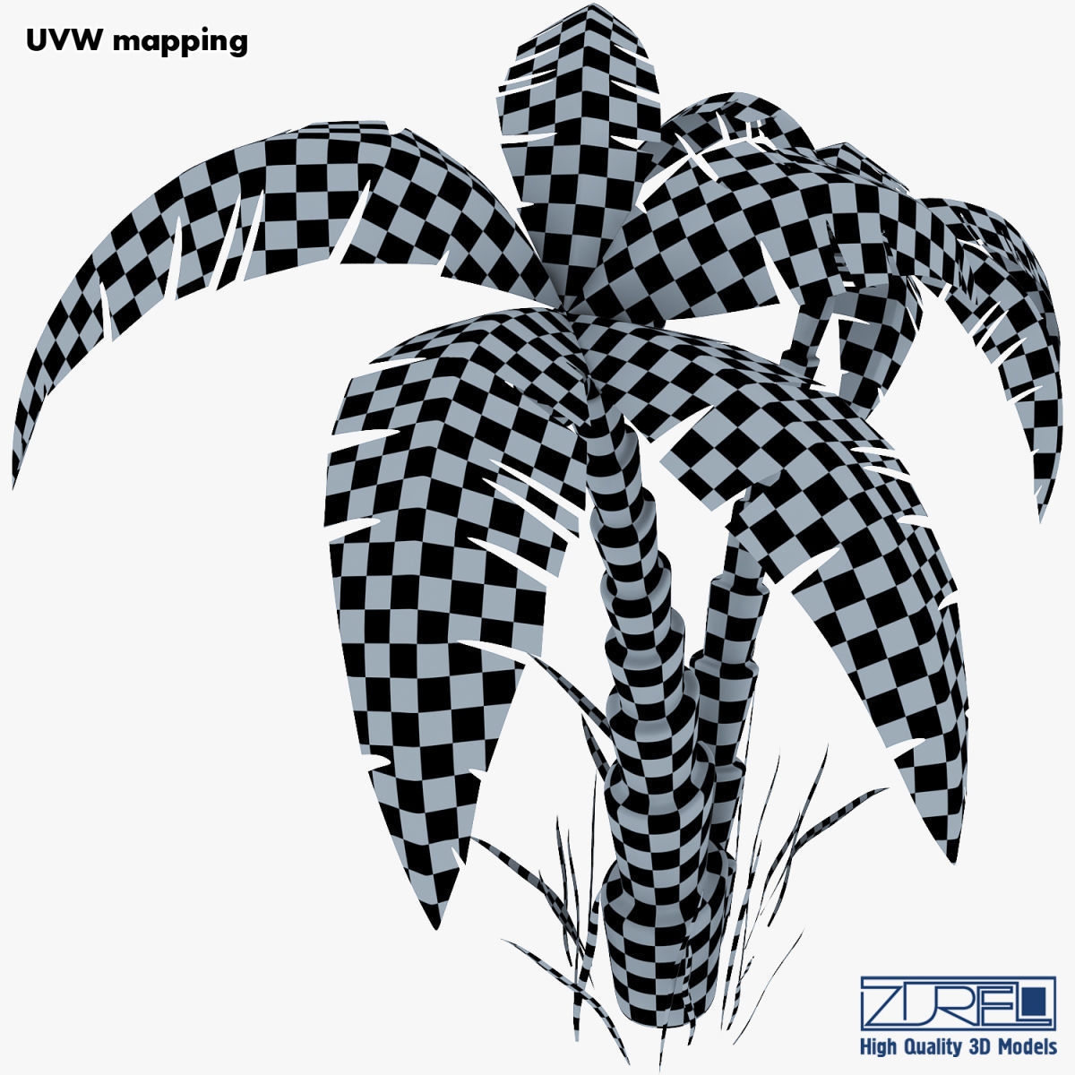 Palm tree v 5 3D model_28