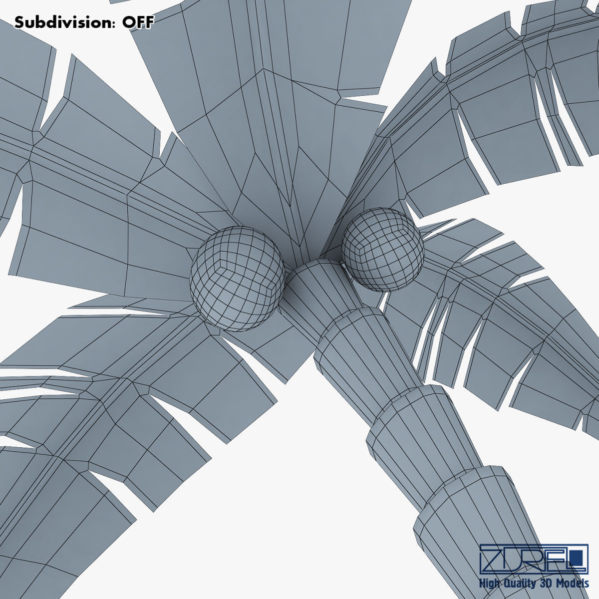 Palm tree v 5 3D model_24