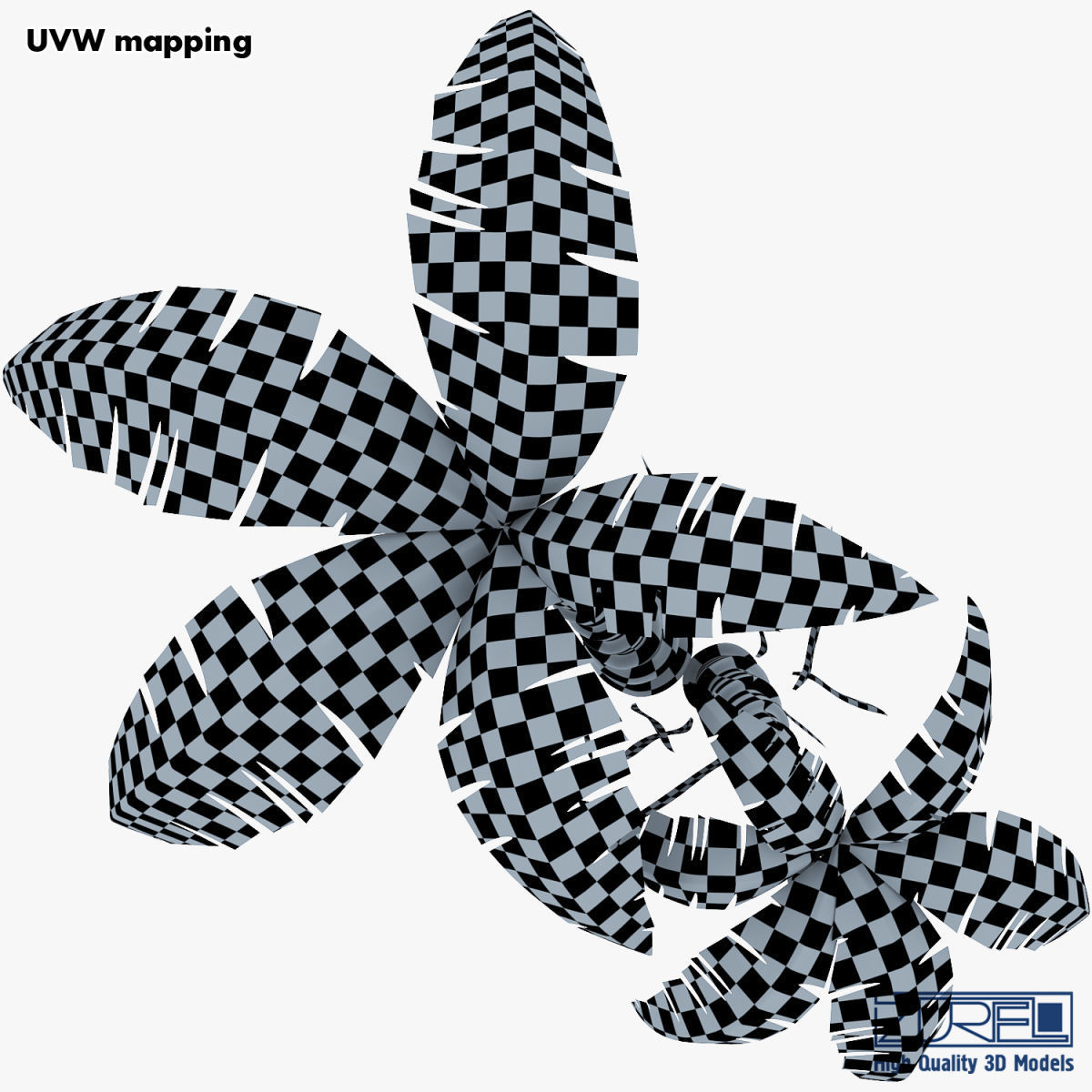 Palm tree v 5 3D model_29