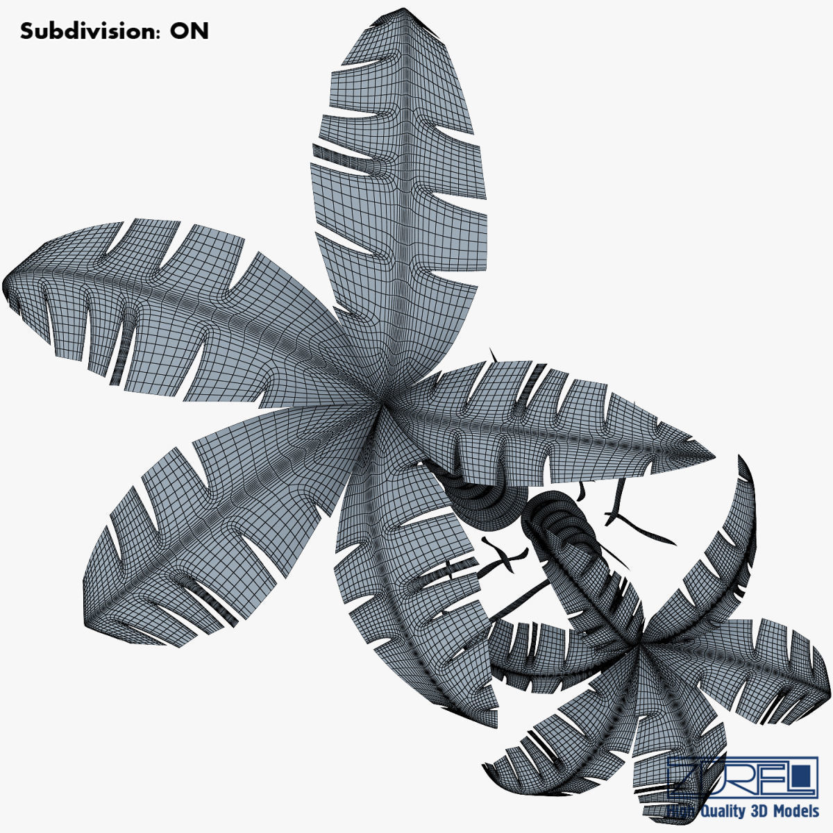 Palm tree v 5 3D model_19