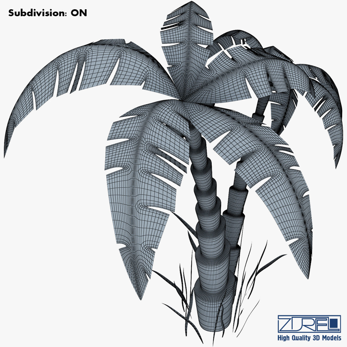 Palm tree v 5 3D model_17