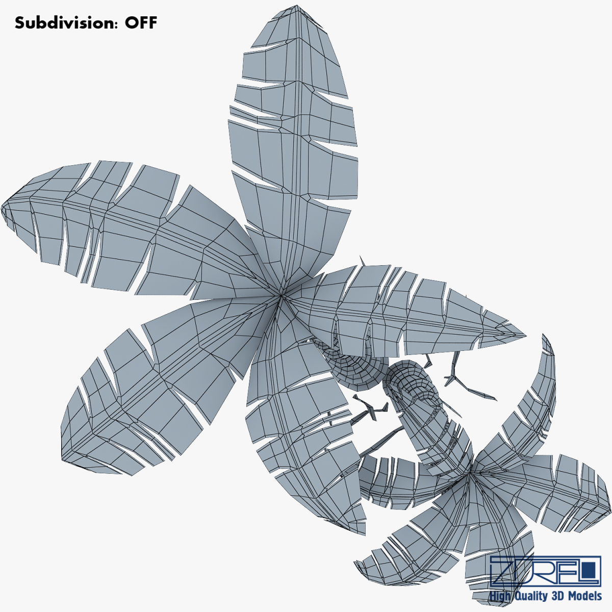 Palm tree v 5 3D model_20