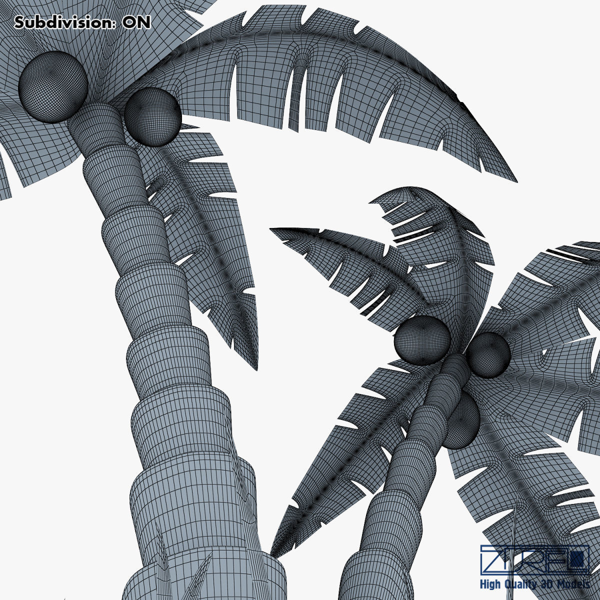 Palm tree v 5 3D model_21