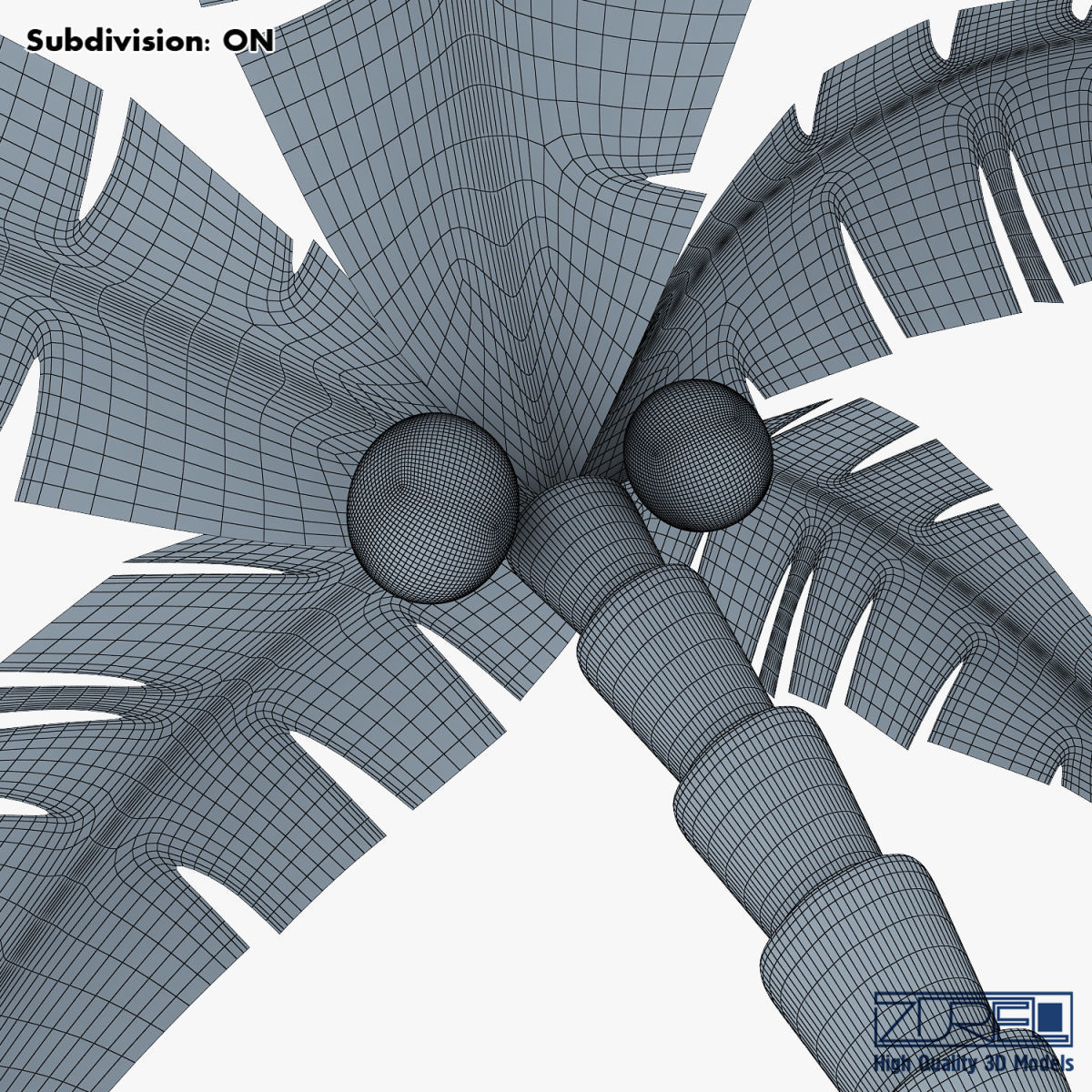 Palm tree v 5 3D model_23