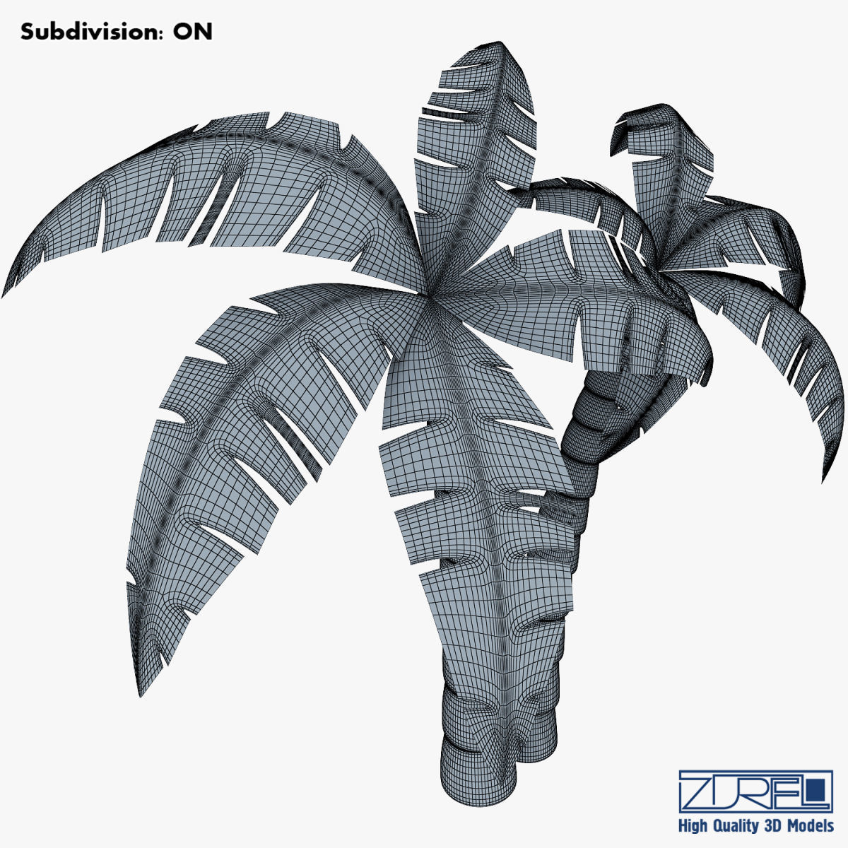 Palm tree v 4 3D model_17