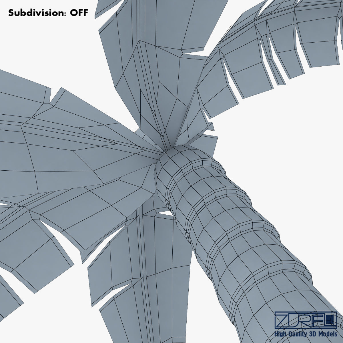 Palm tree v 4 3D model_24