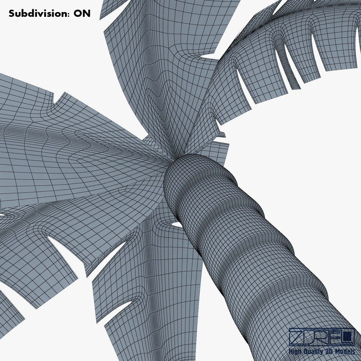 Palm tree v 4 3D model_23