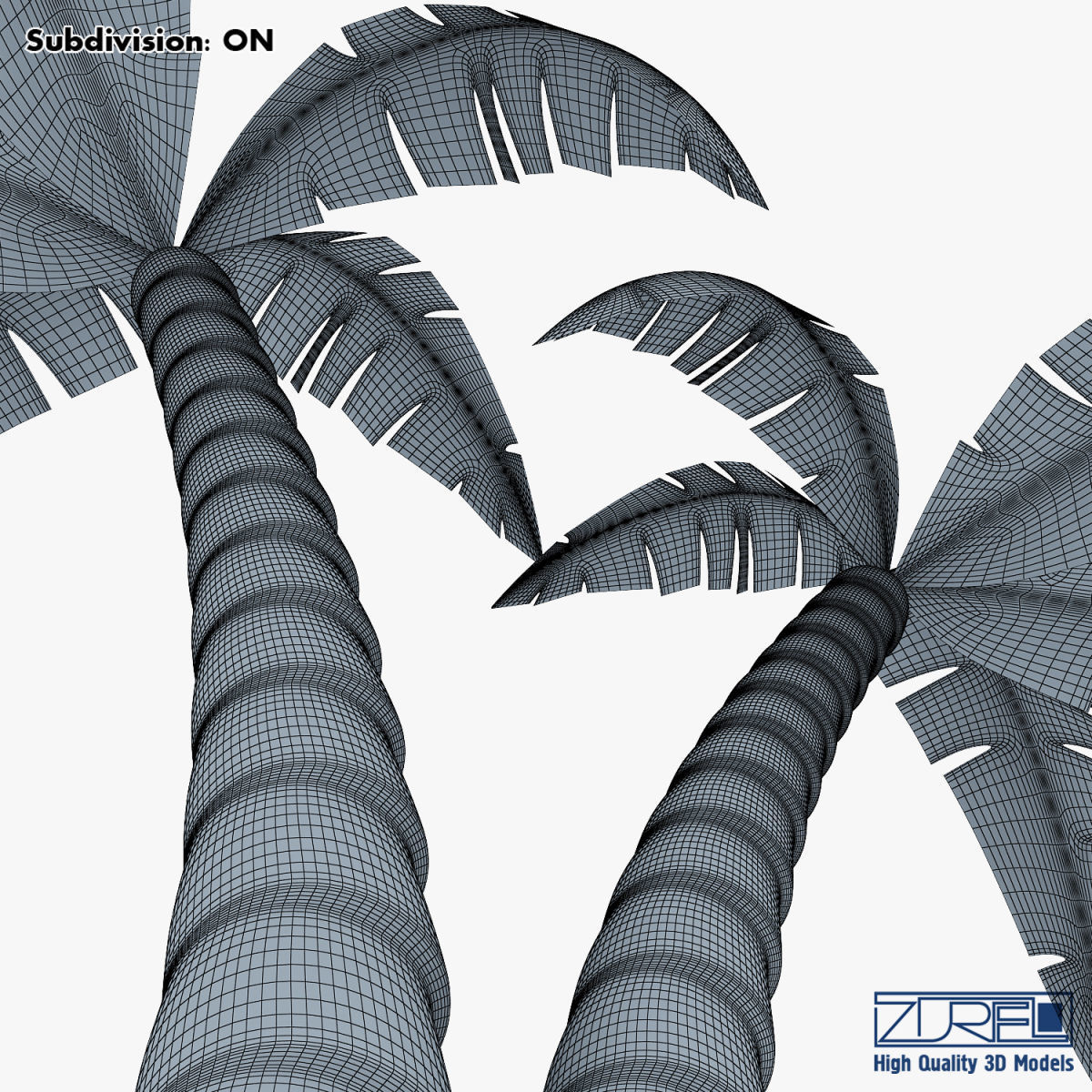 Palm tree v 4 3D model_21