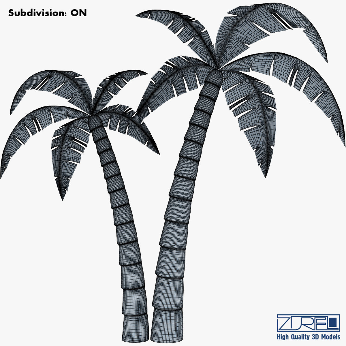 Palm tree v 4 3D model_15