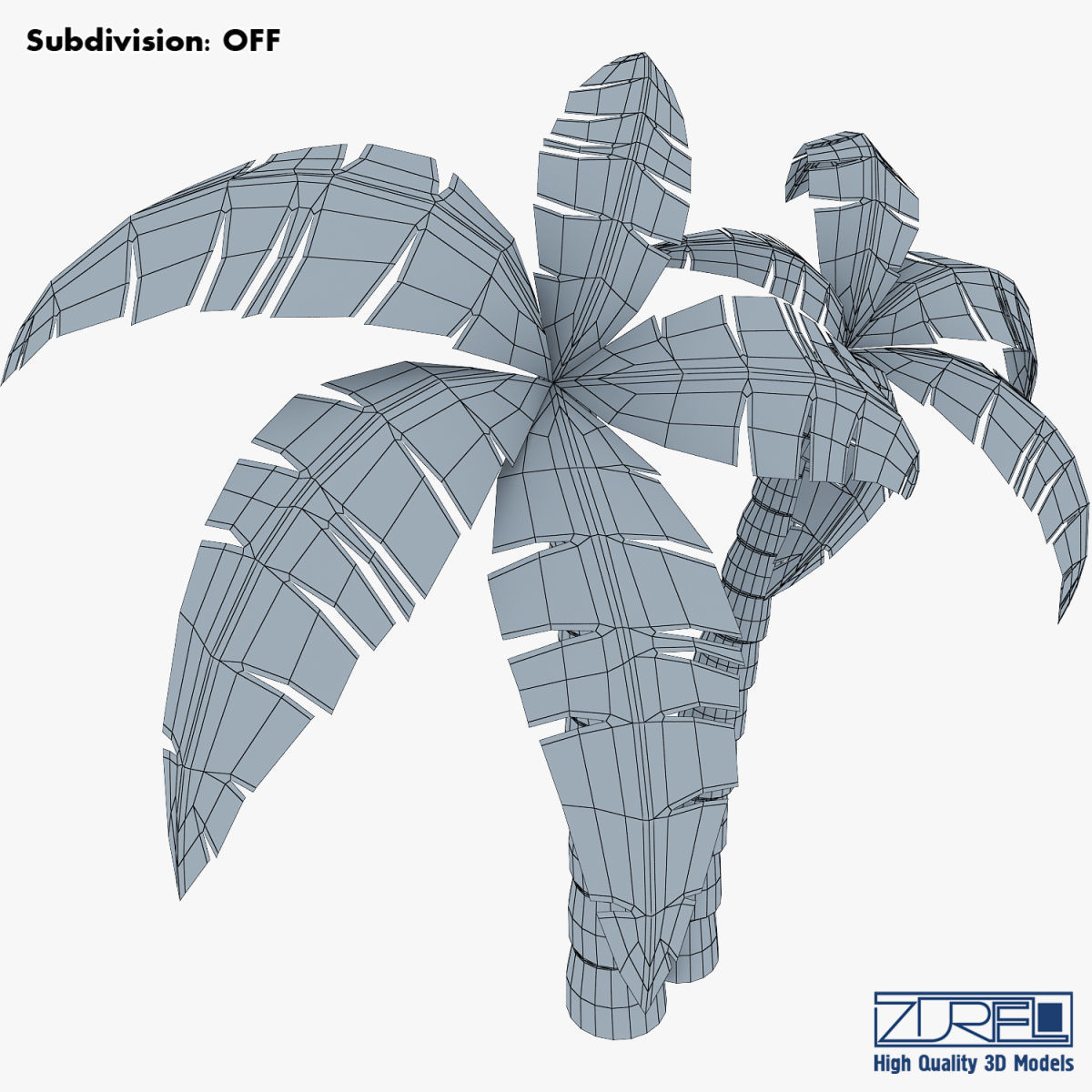 Palm tree v 4 3D model_18