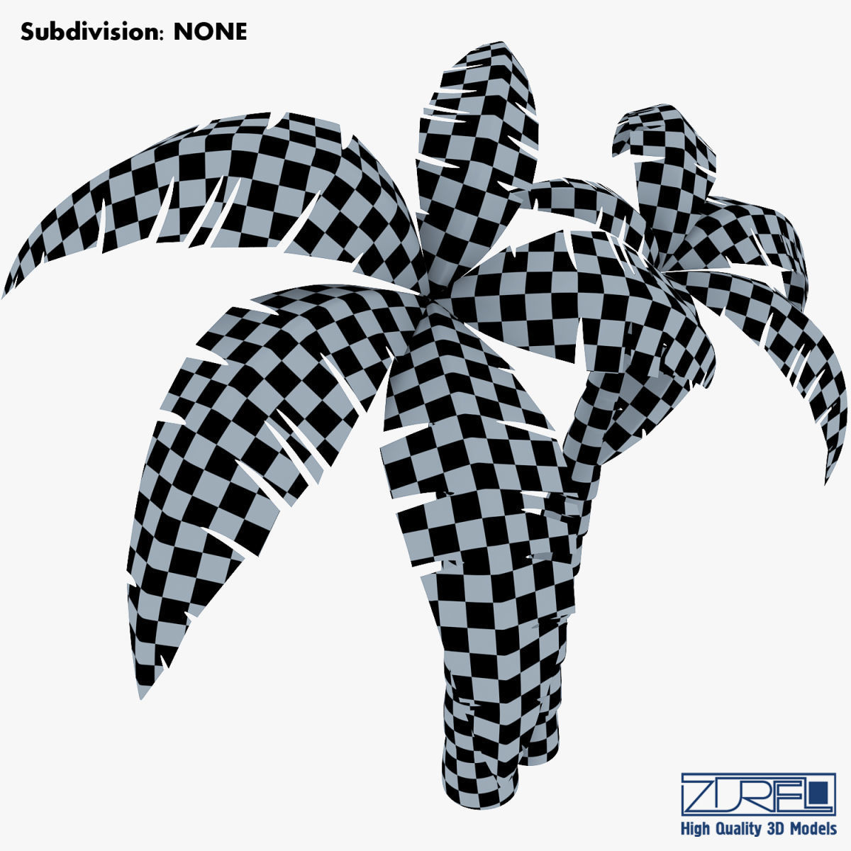 Palm tree v 4 3D model_28