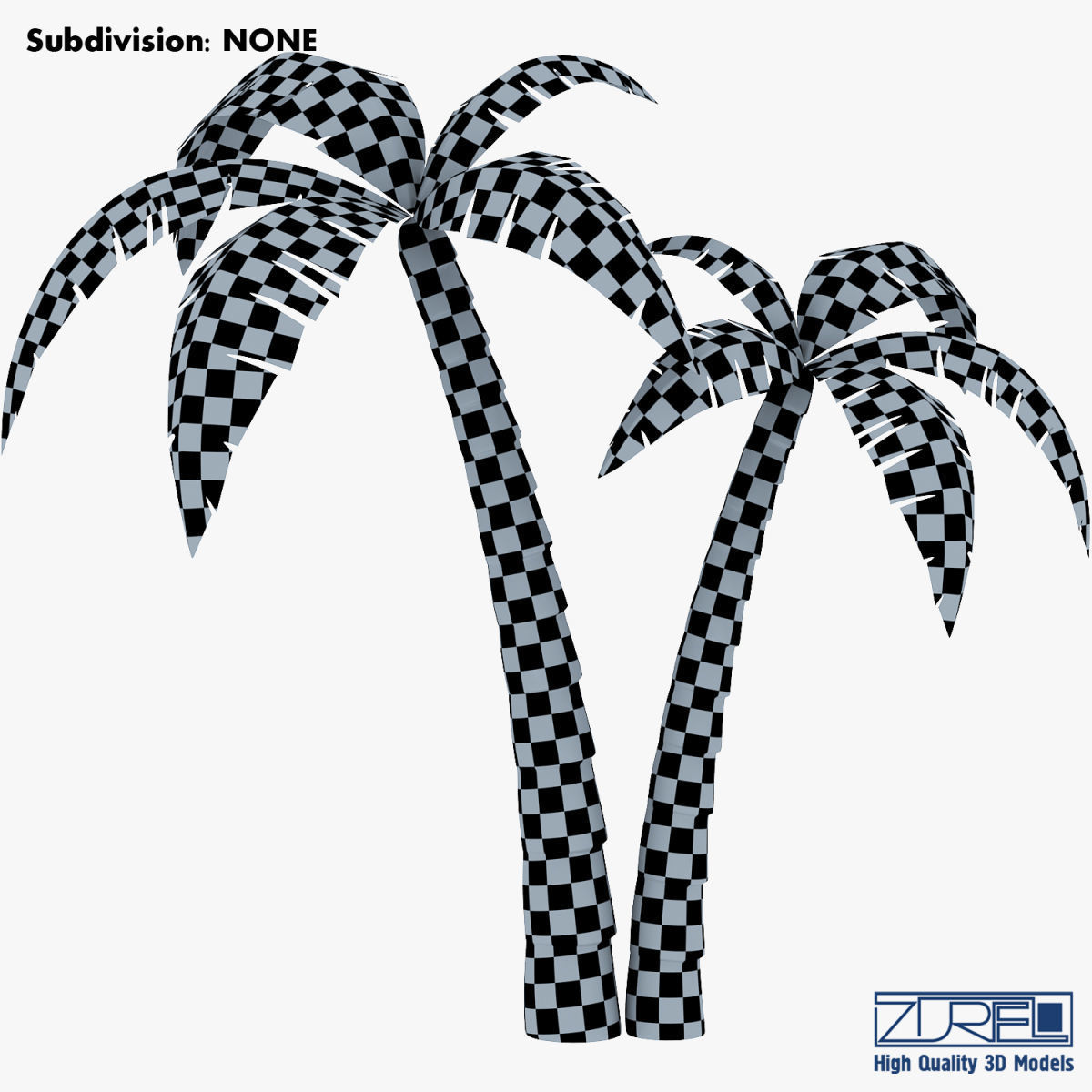 Palm tree v 4 3D model_27