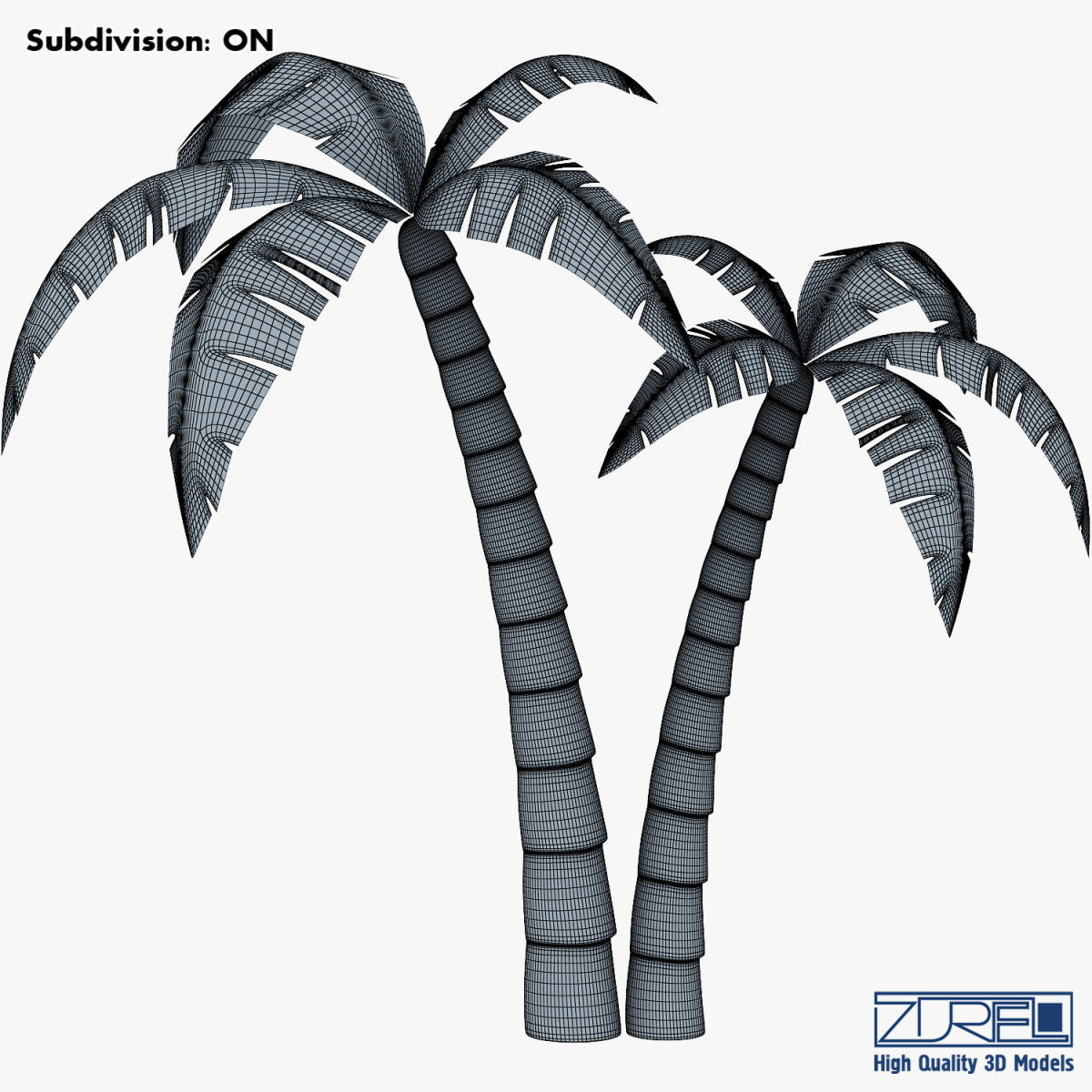 Palm tree v 4 3D model_13