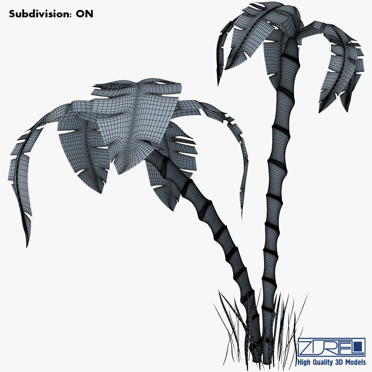 Palm tree v 3 3D model_15