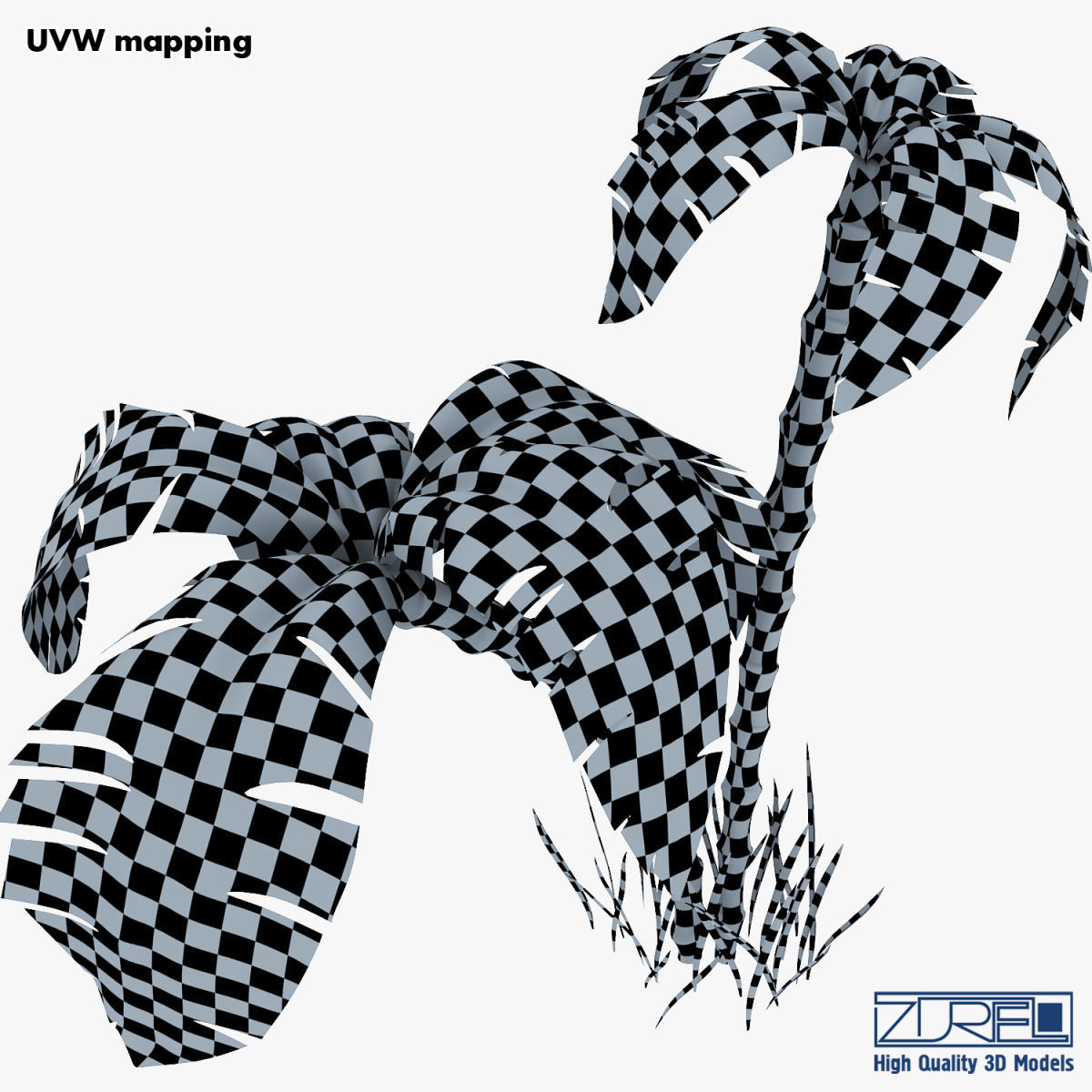 Palm tree v 3 3D model_28