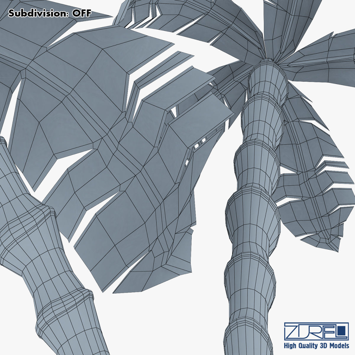 Palm tree v 3 3D model_22