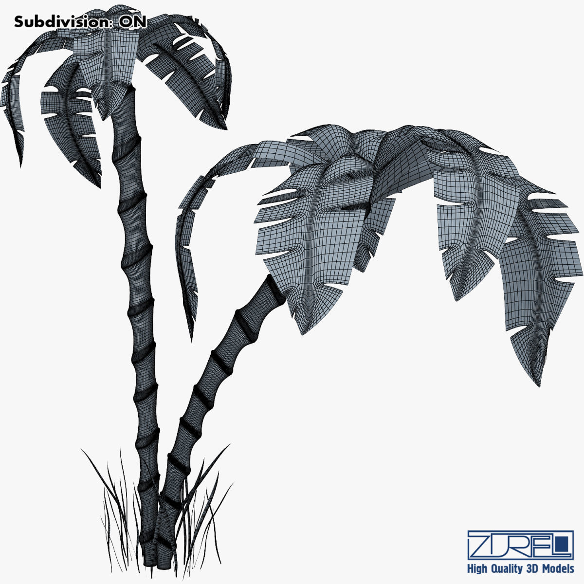 Palm tree v 3 3D model_13