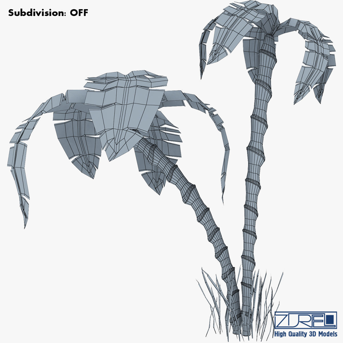 Palm tree v 3 3D model_16