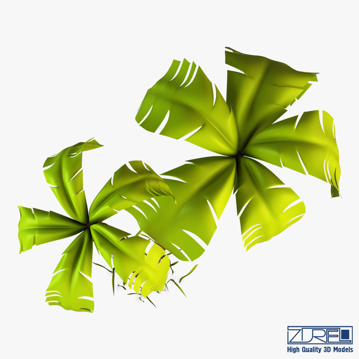 Palm tree v 3 3D model_9