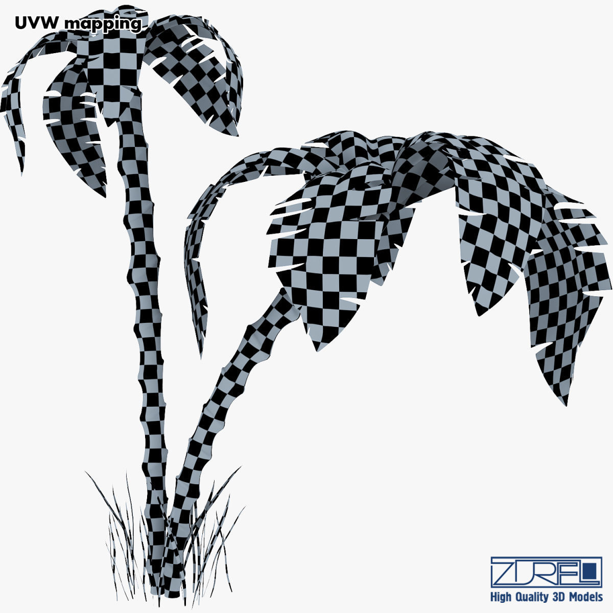 Palm tree v 3 3D model_27