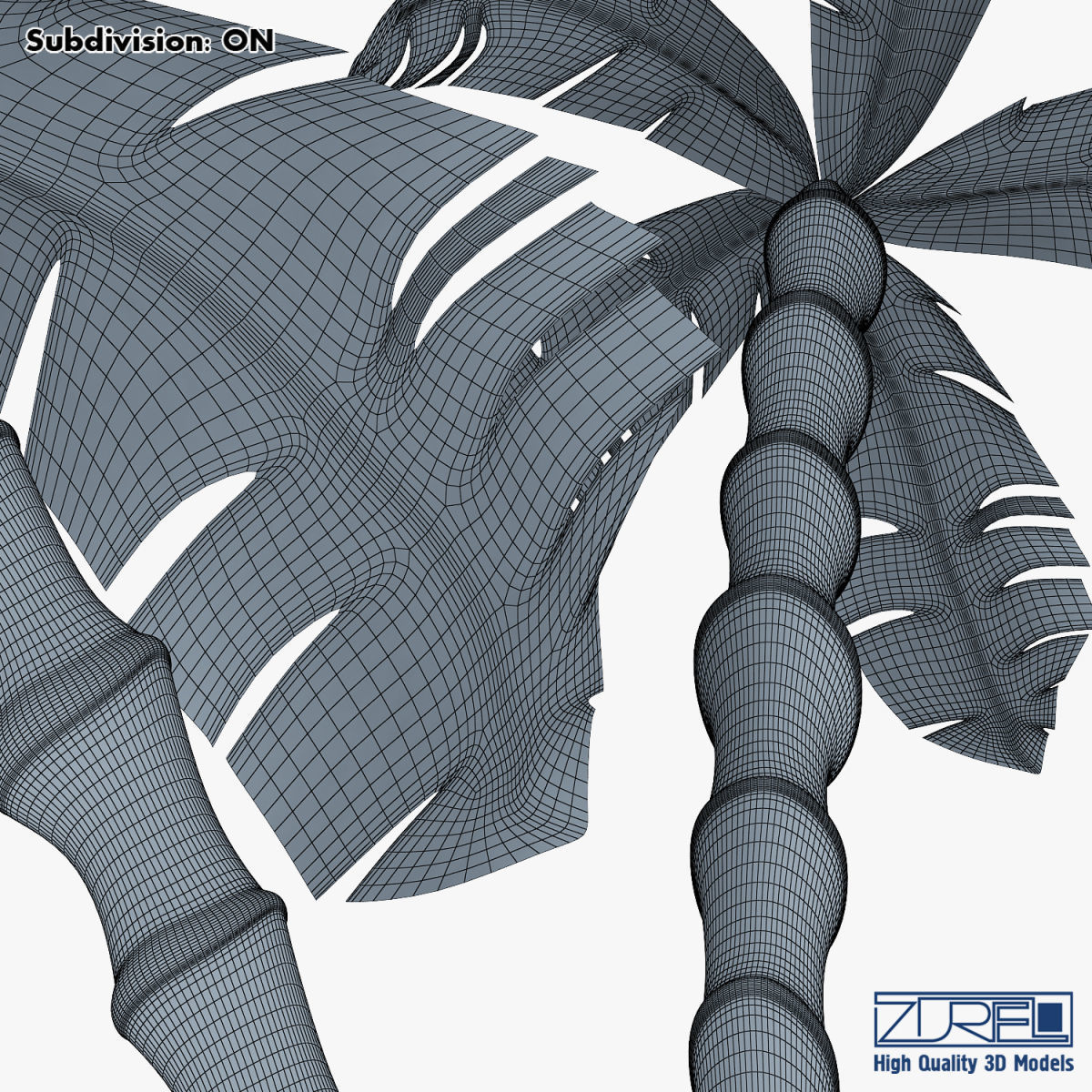 Palm tree v 3 3D model_21