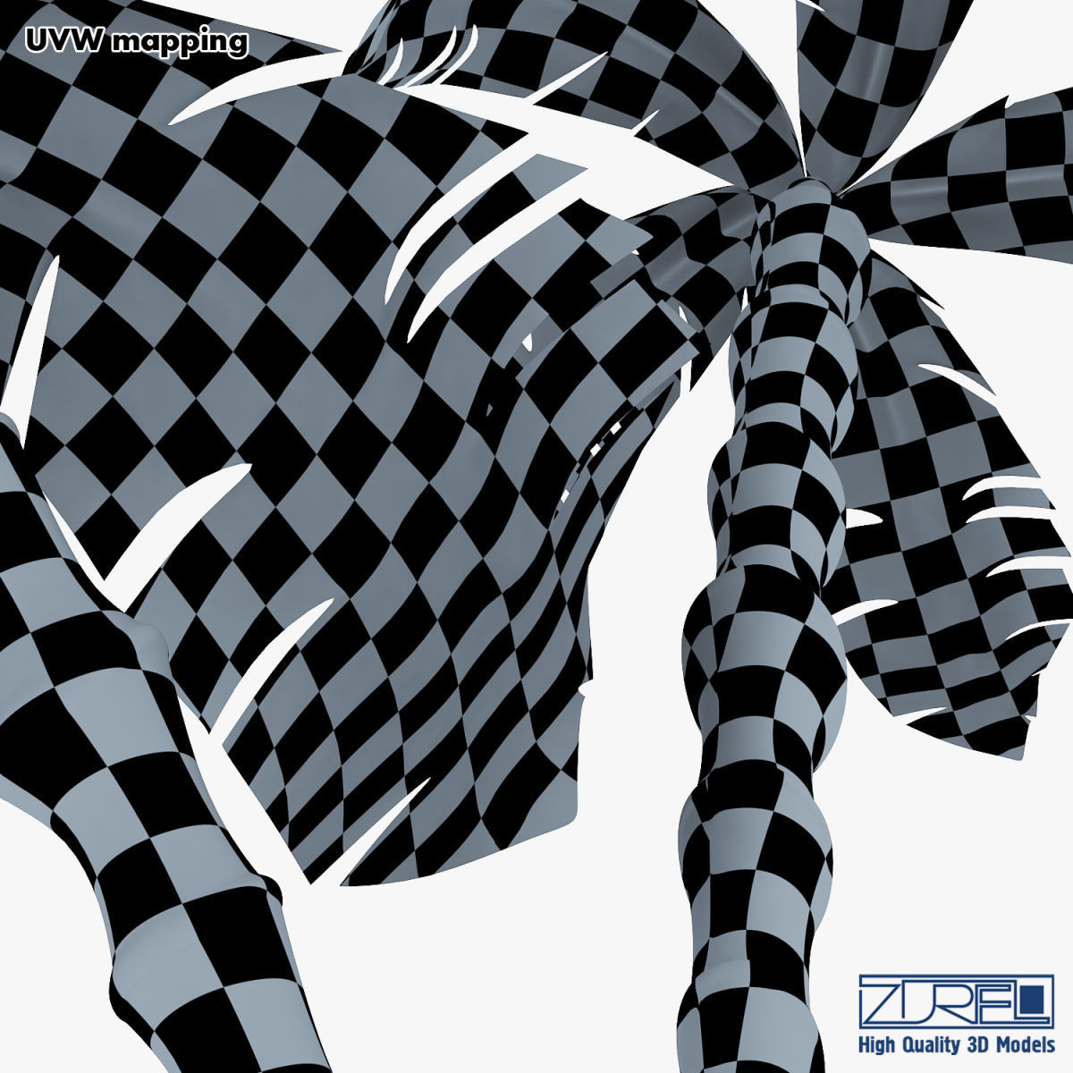 Palm tree v 3 3D model_30